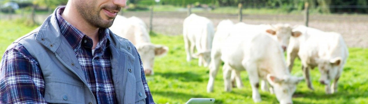 Глава Мінсільгоспу похвалив дагестанських фермерів