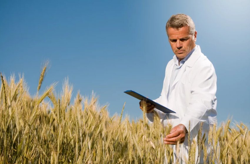 Глава Мінсільгоспу похвалив дагестанських фермерів Глава Мінсільгоспу похвалив дагестанських фермерів