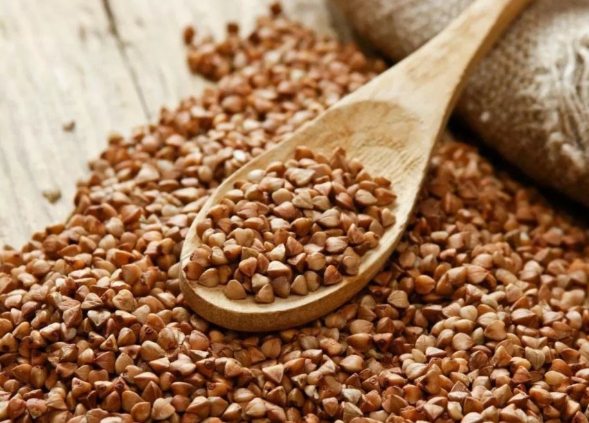 На Алтаї прощаються з гречаними полями На Алтаї прощаються з гречаними полями