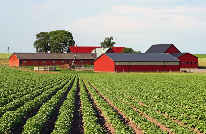 Фермери Великобританії звернулися до майбутнього прем'єр-міністра з приводу Brexit