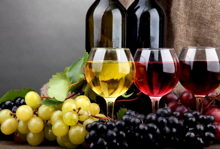 В Новій Зеландії бум садівництва