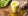 Напиток из куркумы имбиря лимона и меда рецепт для иммунитета thumbnail