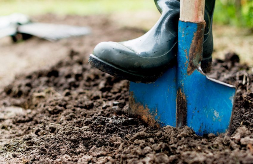 Перекопування грунту Перекопування грунту