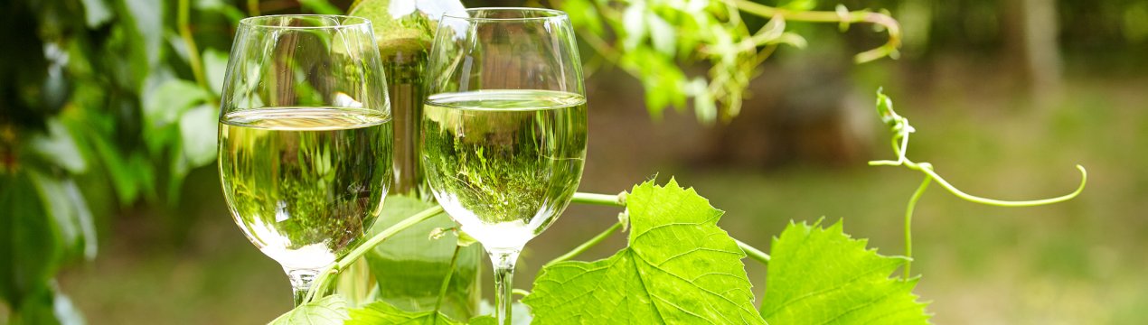 Домашнє вино з листя винограду