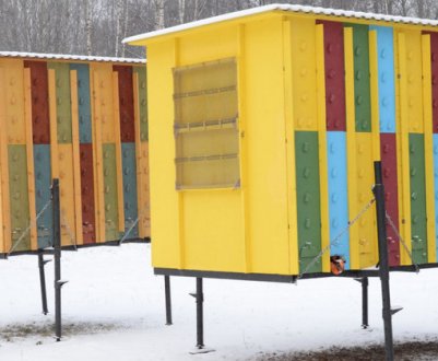 Будівництво касетного павільйону для бджіл