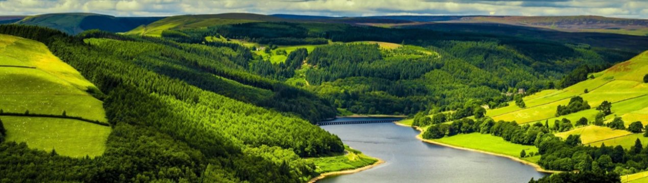 Фермерів Великобританії запрошують взяти участь у масовій посадці дерев