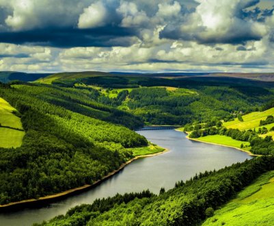 Фермерів Великобританії запрошують взяти участь у масовій посадці дерев