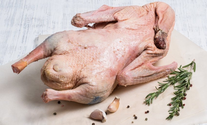 Гусяче м'ясо Гусяче м'ясо