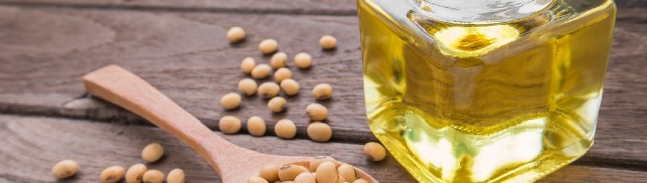 Аргентинські «соєві» фермери сподіваються на перемир'я в торговельній війні США і Китаю