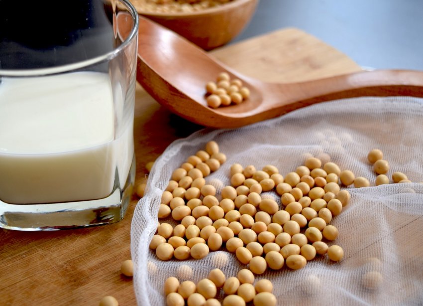 Аргентинські «соєві» фермери сподіваються на перемир'я в торговельній війні США і Китаю