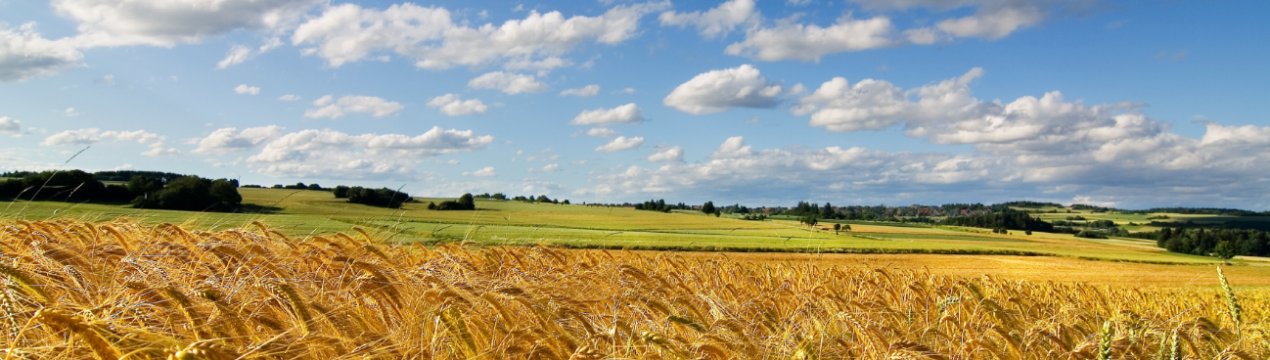 Ставропольські фермери почнуть співпрацювати зі супутниковим фотоапаратом