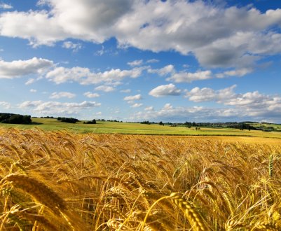 Ставропольські фермери почнуть співпрацювати зі супутниковим фотоапаратом