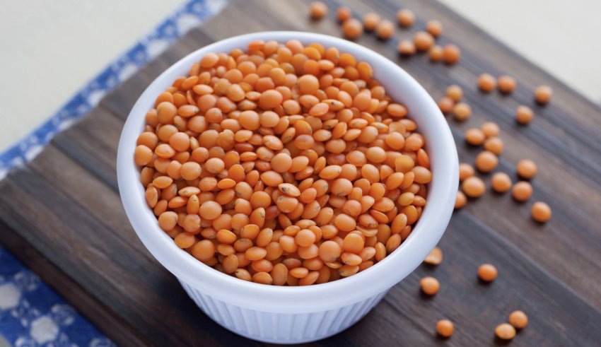 Червона сочевиця