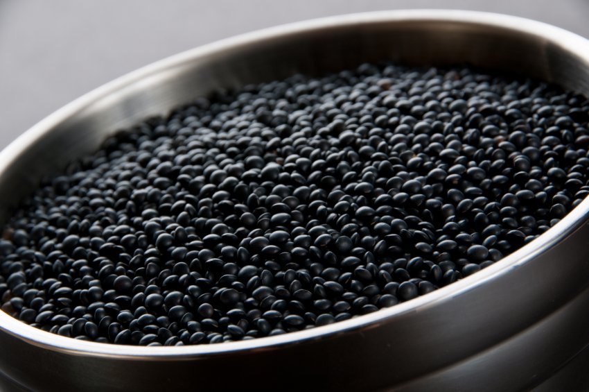 Чорна сочевиця