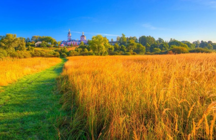 Орловські аграрії звинувачують літак в загибелі врожаю Орловські аграрії звинувачують літак в загибелі врожаю