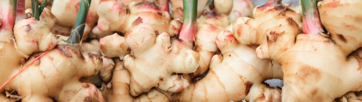 Як виростити імбир в Середній смузі