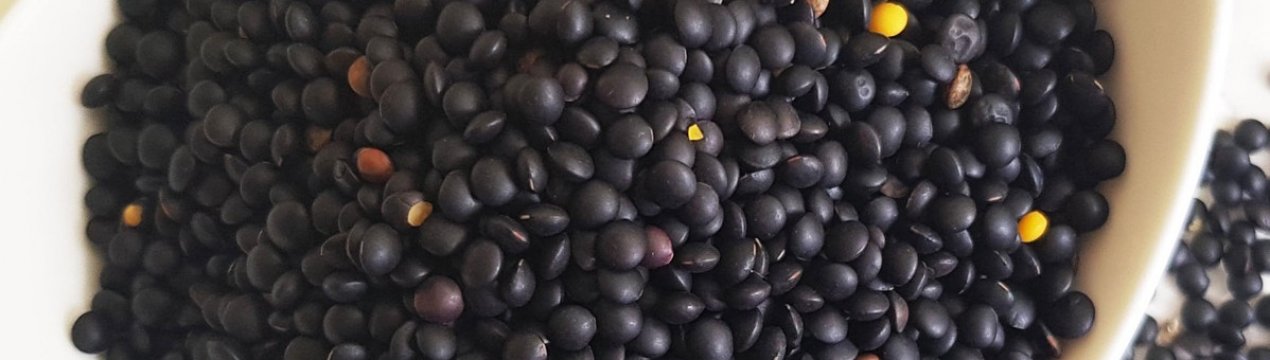 Чорна сочевиця: корисні властивості і протипоказання для організму людини