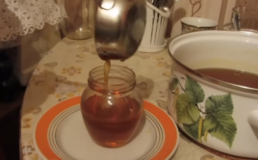 Мед из одуванчиков рецепт польза видео