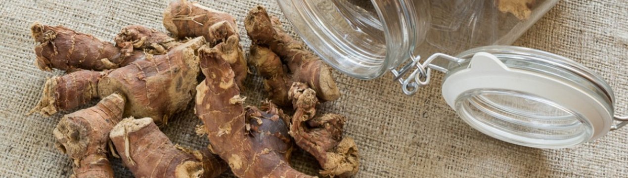 Настоянка з калгану та імбиру: як зробити на горілку, самогон