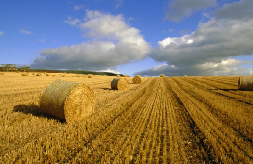 Міністерство сільського господарства США оголошує про гранти на інновації в сфері охорони природи Міністерство сільського господарства США оголошує про гранти на інновації в сфері охорони природи