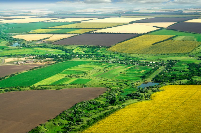 Міністерство сільського господарства США оголошує про гранти на інновації в сфері охорони природи Міністерство сільського господарства США оголошує про гранти на інновації в сфері охорони природи