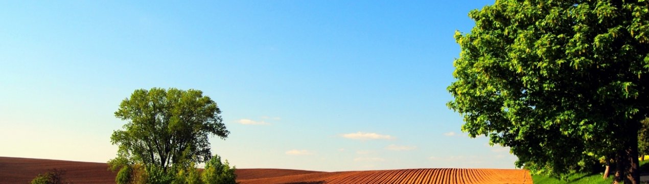 Міністерство сільського господарства США оголошує про гранти на інновації в сфері охорони природи