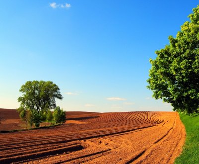 Міністерство сільського господарства США оголошує про гранти на інновації в сфері охорони природи