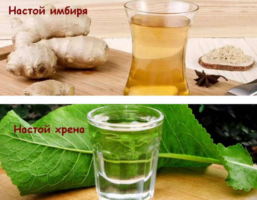Настой имбиря и хрена