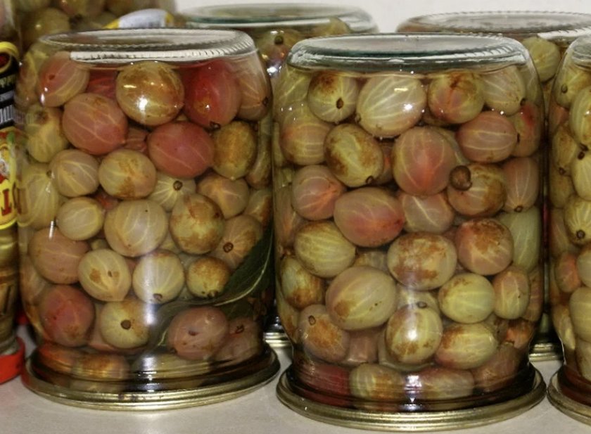 рецепты маринованного крыжовника на зиму. 84428.psdfrc.840. рецепты маринованного крыжовника на зиму фото. рецепты маринованного крыжовника на зиму-84428.psdfrc.840. картинка рецепты маринованного крыжовника на зиму. картинка 84428.psdfrc.840. Маринованные ягоды и фрукты вызывают удивление и неподдельный интерес. Попробуйте поставить на праздничный стол соус из крыжовника к мясу, и вы убедитесь в этом сами. Маринованный на зиму крыжовник – закуска не менее вкусная. Это чудесное дополнение к мясным и рыбным блюдам, которое порой способно заменить собой традиционные овощи. Ароматными сладко-кислыми ягодками невероятно приятно похрустеть просто так. А маринад получается настолько вкусным, что не останется ни капельки.