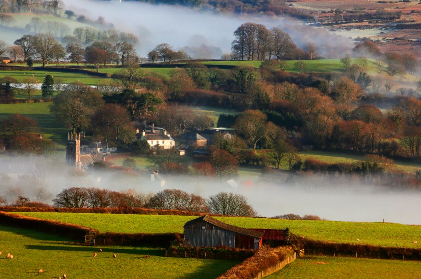 Фермери Великобританії закликали не «зраджувати» британське сільське господарство Фермери Великобританії закликали не «зраджувати» британське сільське господарство