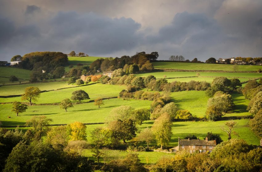 Фермери Великобританії закликали не «зраджувати» британське сільське господарство Фермери Великобританії закликали не «зраджувати» британське сільське господарство