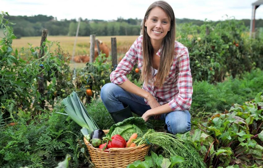 Невизначеність — «найгірший ворог» сільського господарства, визнав міністр сільського господарства Великобританії Невизначеність — «найгірший ворог» сільського господарства, визнав міністр сільського господарства Великобританії