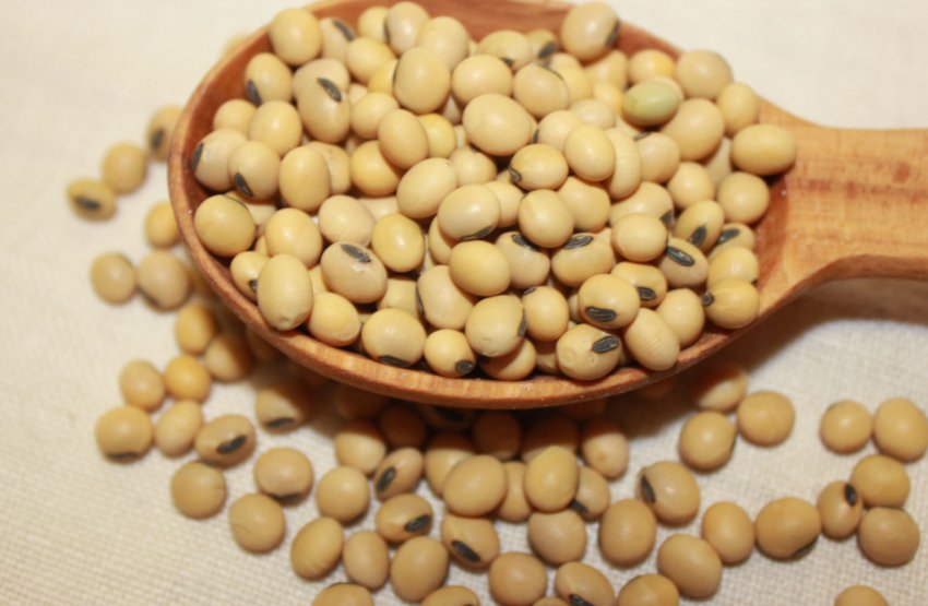 Дощі в США і сухість у Чорноморському регіоні підняли пшеницю в ціні, але не вплинули на кукурудзу Дощі в США і сухість у Чорноморському регіоні підняли пшеницю в ціні, але не вплинули на кукурудзу