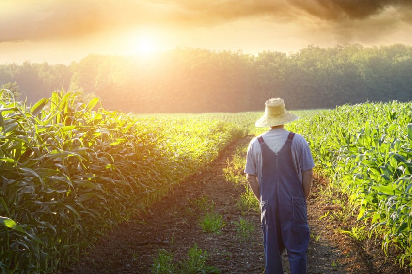 В Шотландії фермера оштрафували за «руйнування навколишнього середовища» В Шотландії фермера оштрафували за «руйнування навколишнього середовища»
