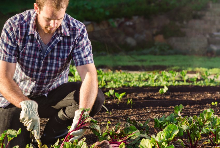 В Шотландії фермера оштрафували за «руйнування навколишнього середовища» В Шотландії фермера оштрафували за «руйнування навколишнього середовища»