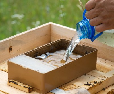 Як приготувати інвертований сироп для бджіл