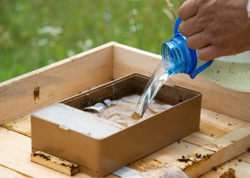 Як приготувати інвертований сироп для бджіл