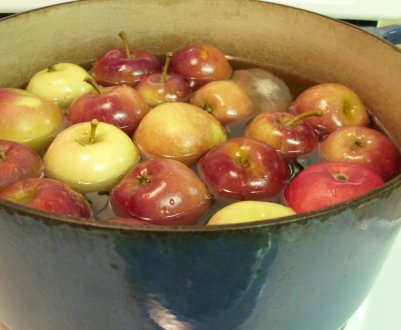 Як смачно замаринувати яблука на зиму вдома в банках