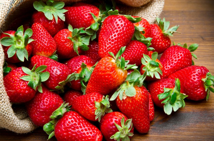 Помідорно-огіркове Підмосков'ї урізноманітнюють ягідними кущами