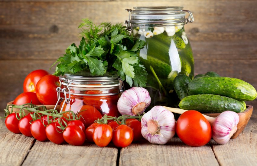 Помідорно-огіркове Підмосков'ї урізноманітнюють ягідними кущами