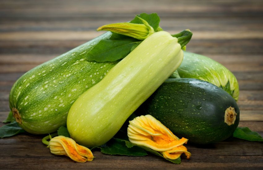 Столичні «тепличники» роблять оптимістичні прогнози Столичні «тепличники» роблять оптимістичні прогнози