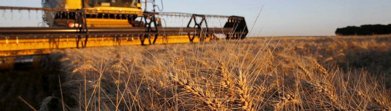 Австралія готується до чергового зимового врожаю рівня нижче середнього