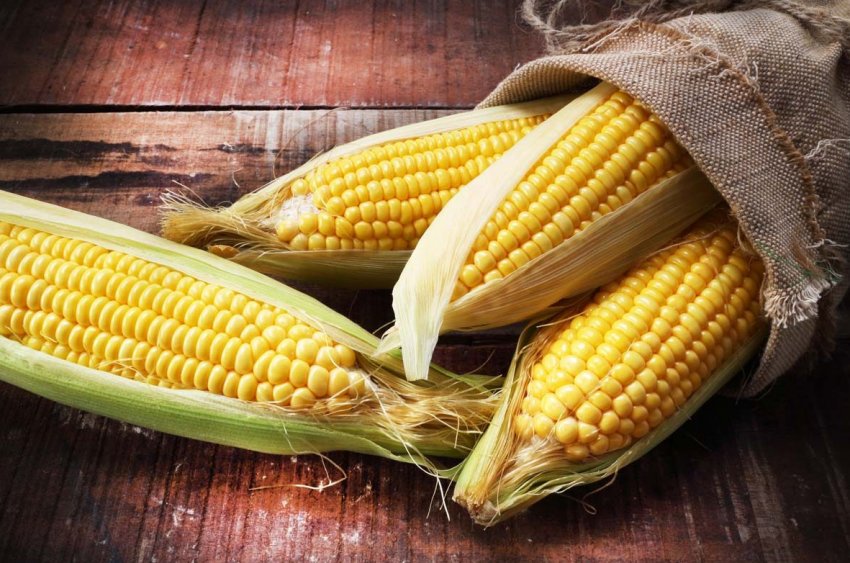 В США погодні біди підвищують ціни на кукурудзу В США погодні біди підвищують ціни на кукурудзу