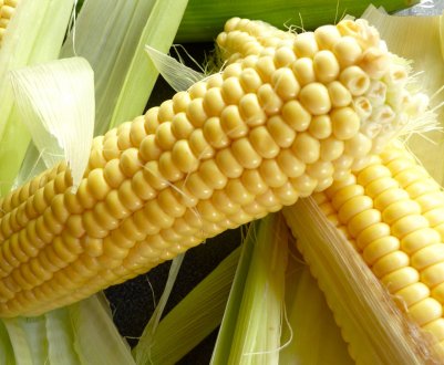 У США погодні біди підвищують ціни на кукурудзу