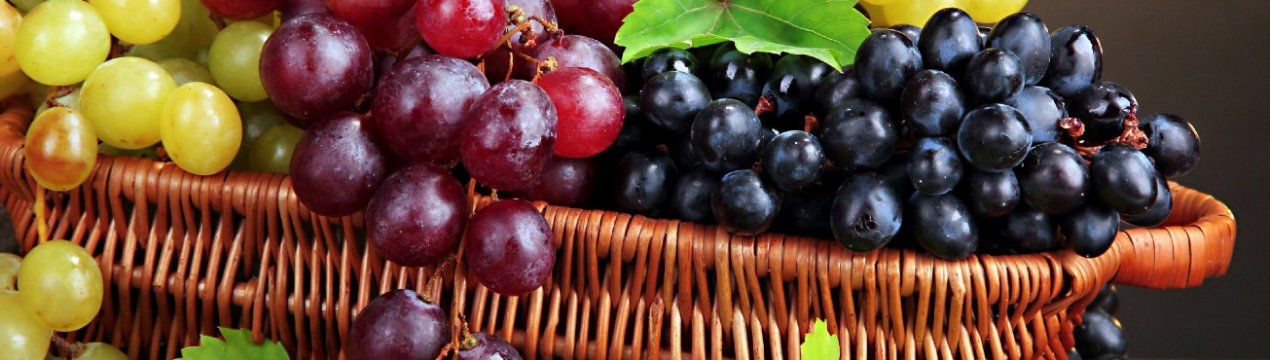 Виноградники Півдня України знаходяться в хорошому стані