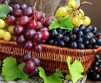 Виноградники Півдня України знаходяться в хорошому стані