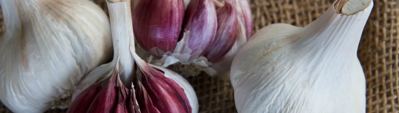 Фестиваль часнику пройде в Хмельницькій області