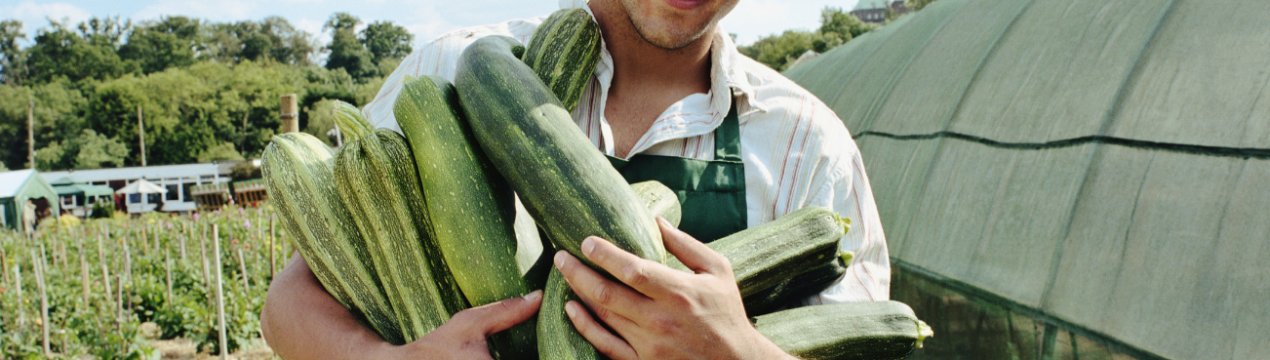 В Ірландії стартує конкурс «Молодий фермер року»