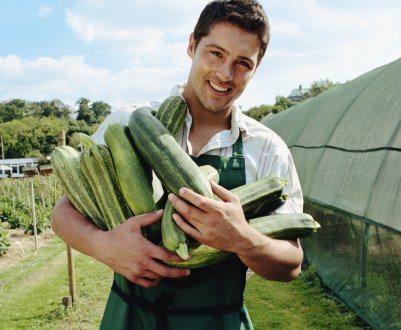 В Ірландії стартує конкурс «Молодий фермер року»