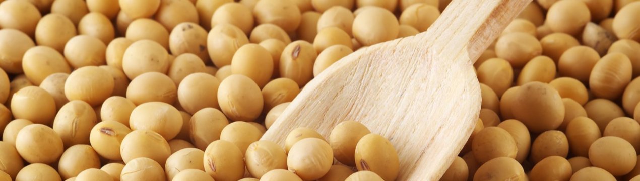 Китай може перенаправити раніше закуплену американську сою в резерв